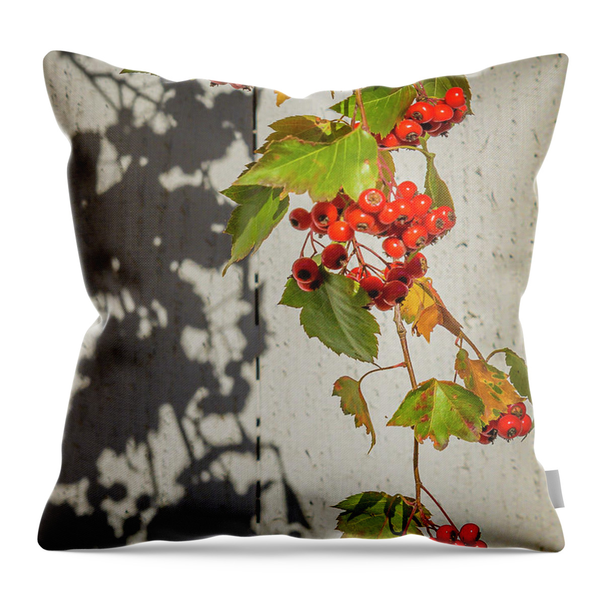 Boise Idaho Throw Pillow featuring the photograph Leaves and Fruit by Mark Mille