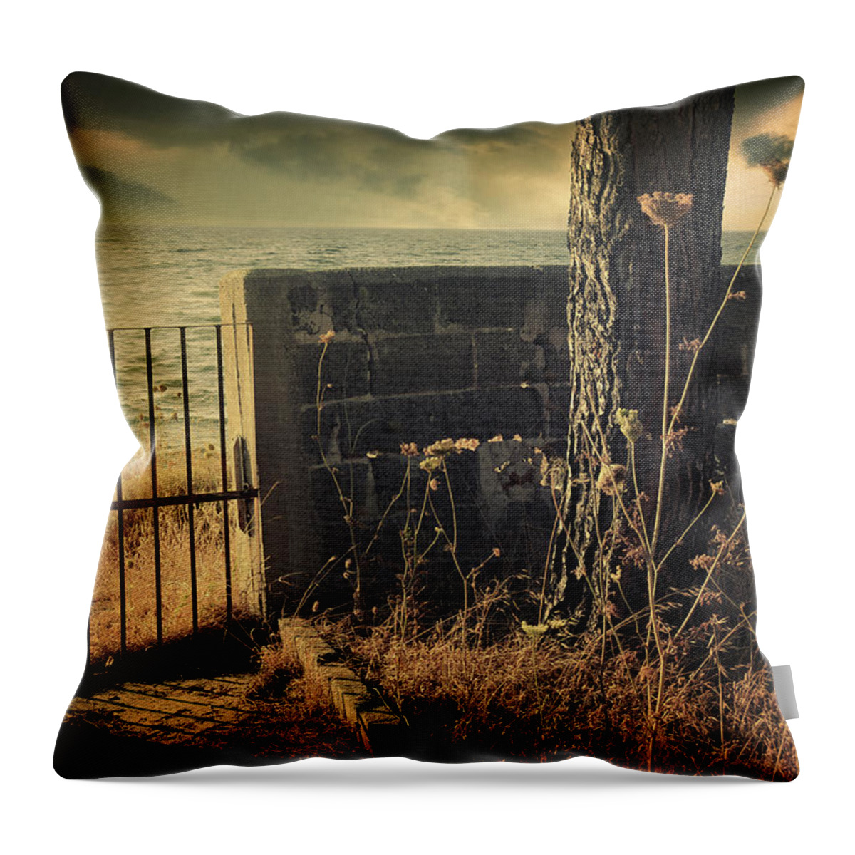 Old Throw Pillow featuring the photograph Leaving Home by Craphe Studio