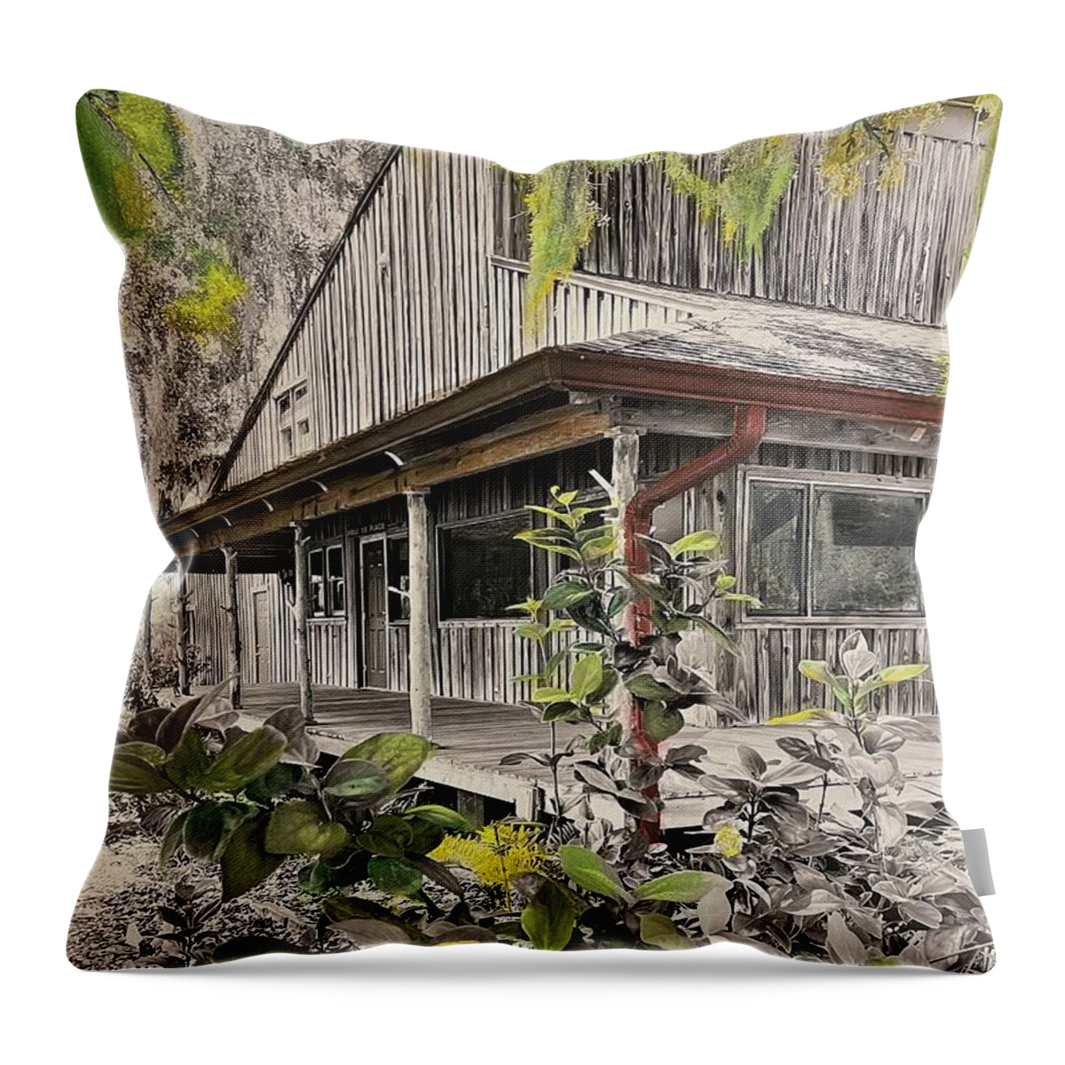 Legacy House Princess Place Preserve Flagler County Florida John Anderson Throw Pillow featuring the mixed media Legacy House Princess Place Preserve Re Visited by John Anderson