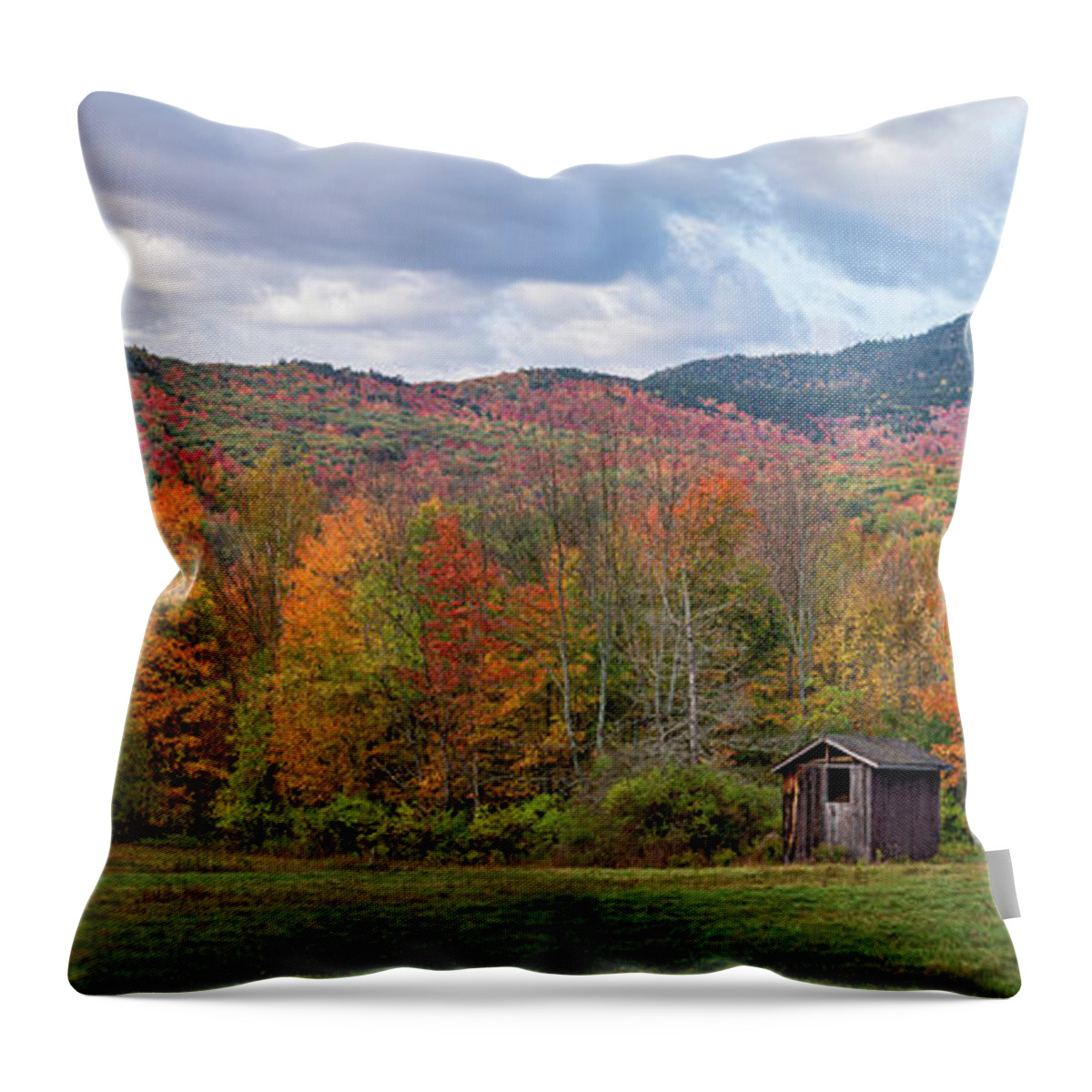 Outhouse Throw Pillow featuring the photograph Let It All Go by Mark Papke