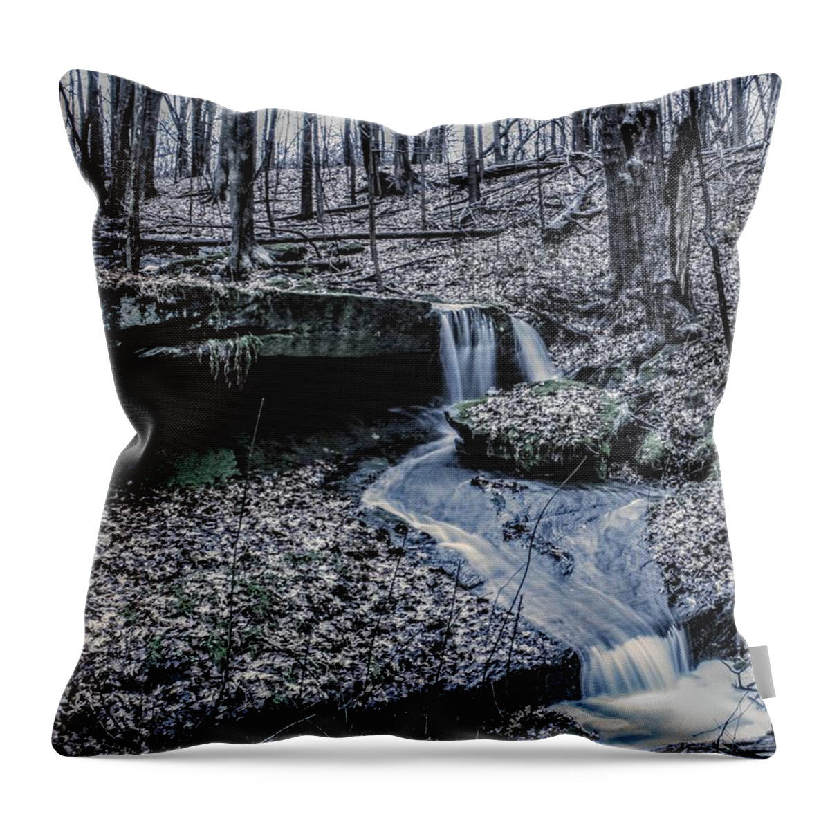  Throw Pillow featuring the photograph Liberty Park in the Fall by Brad Nellis