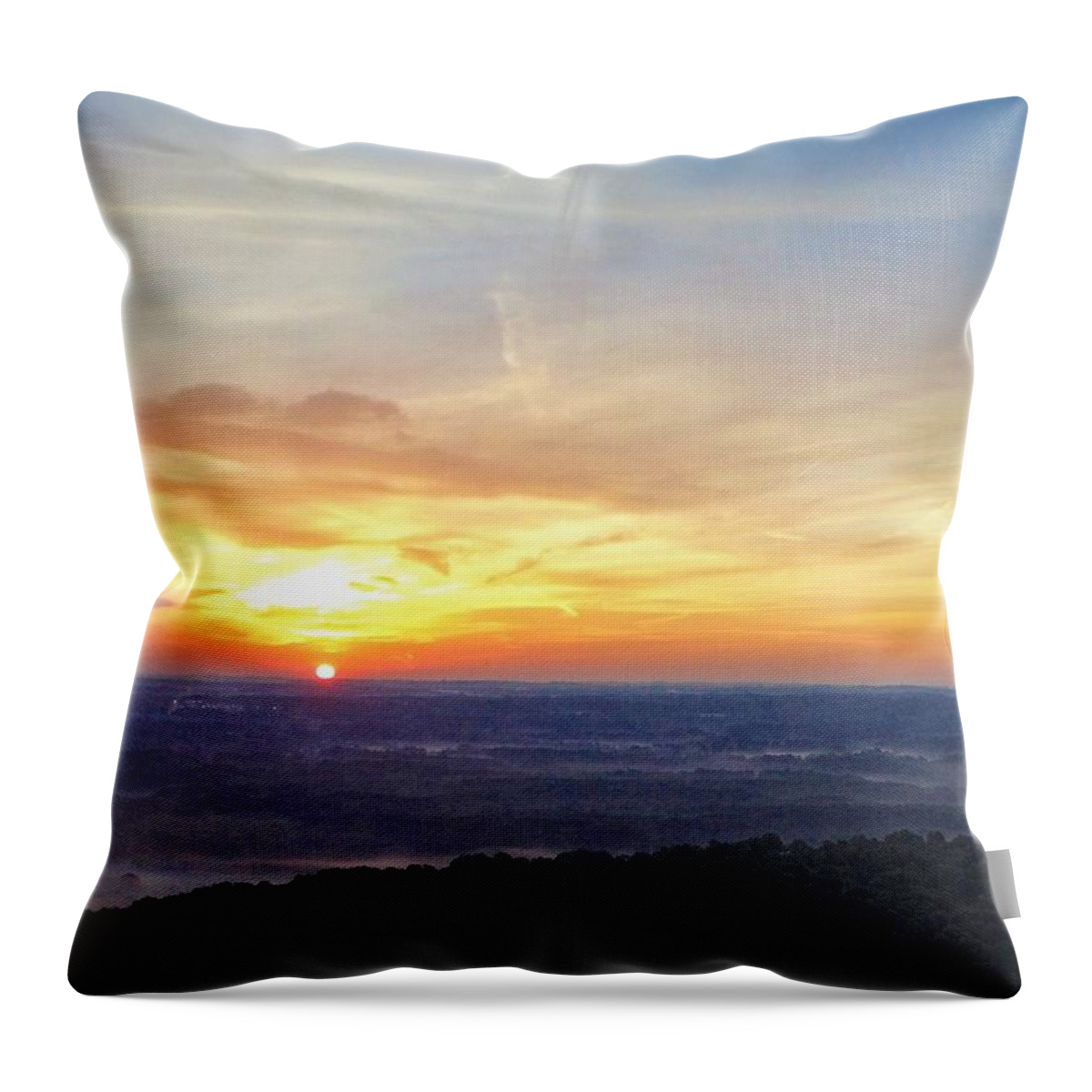 Throw Pillow featuring the photograph Liberty Park Sunrise by Brad Nellis