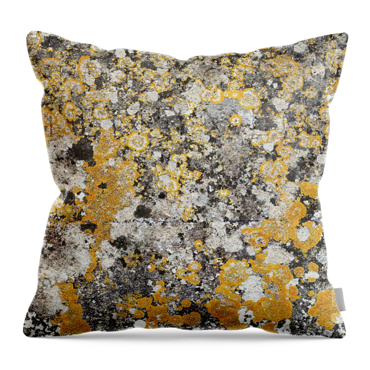 Lichen Throw Pillow featuring the photograph Lichen Pattern by Tim Gainey