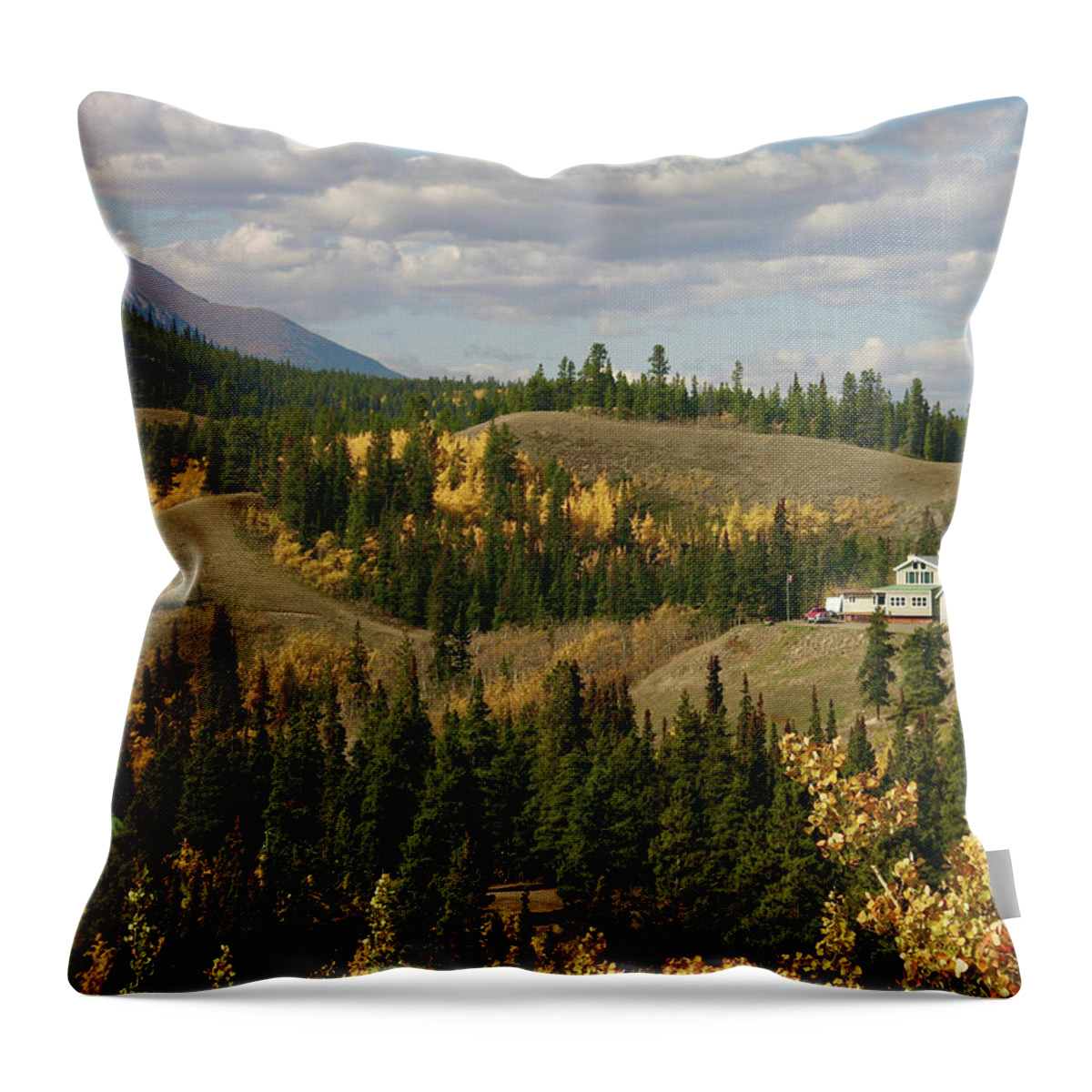 Trees Throw Pillow featuring the photograph Life in the Wild by Carol Neal-Chicago