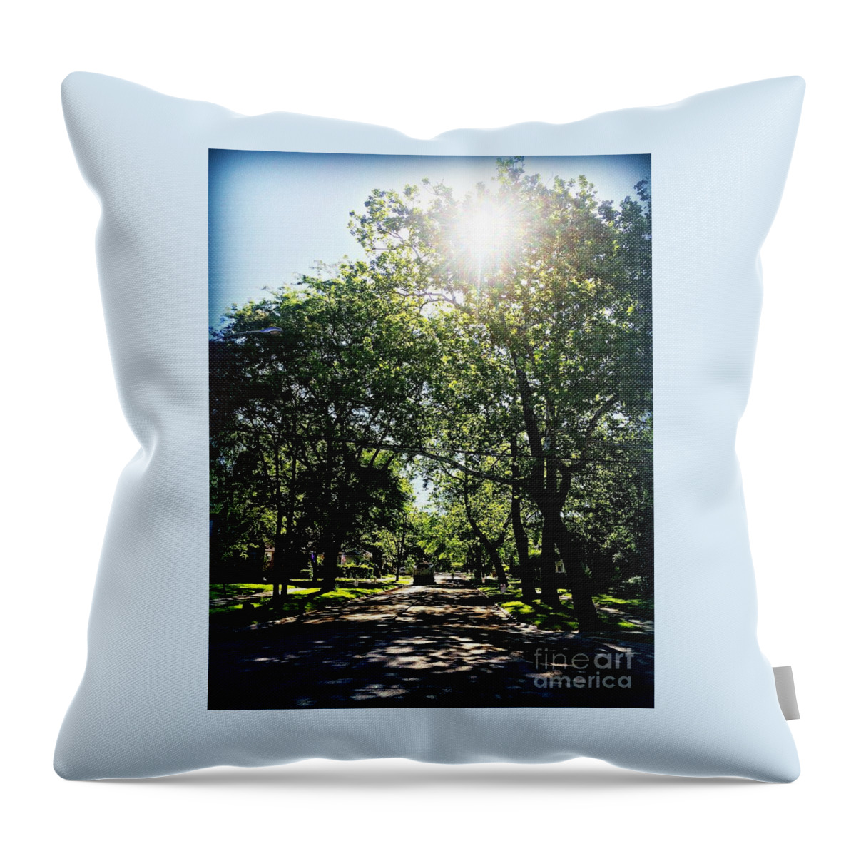 Street Throw Pillow featuring the photograph Life Is A Work In Progress by Frank J Casella