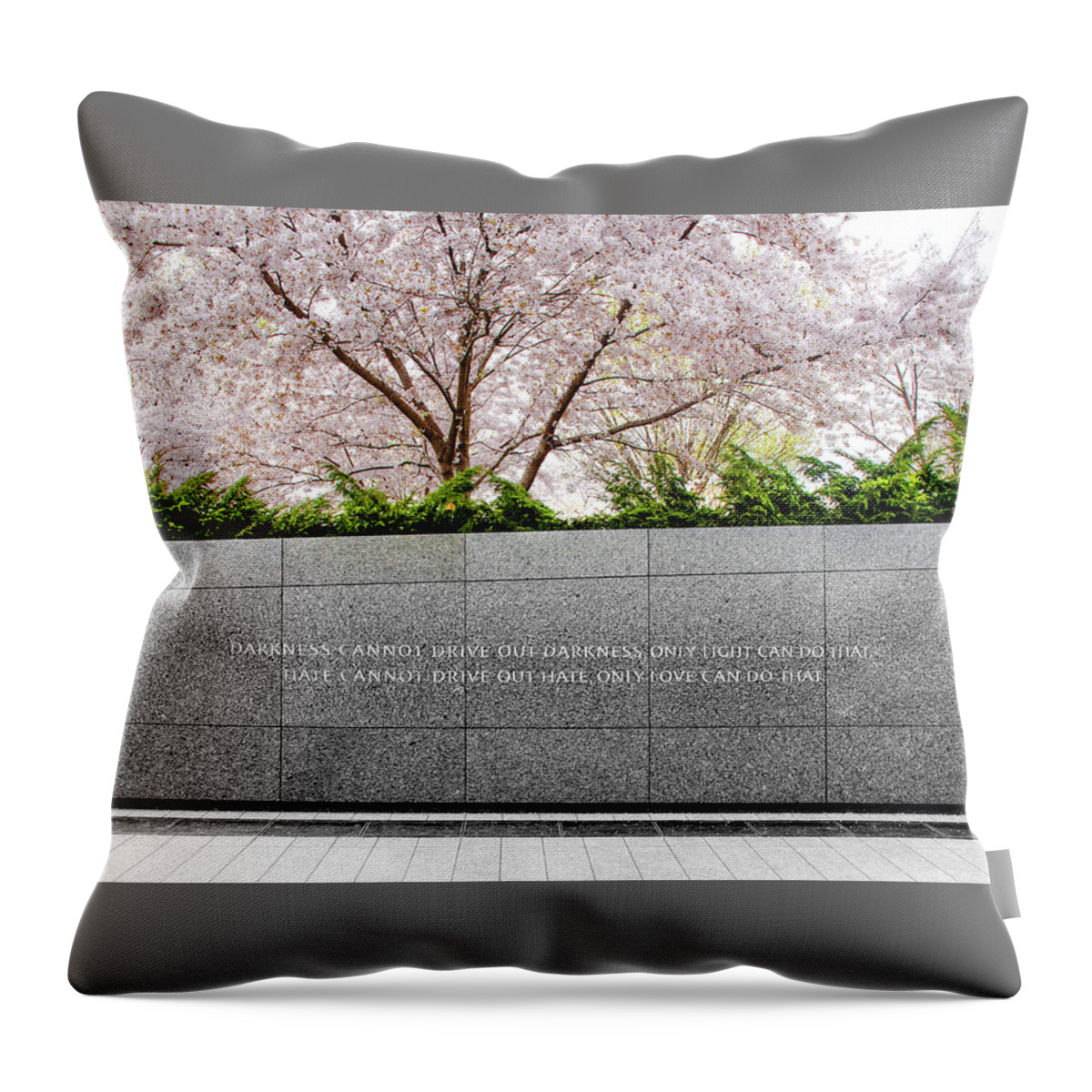 Cherry Blossoms Throw Pillow featuring the photograph Light and Love by Greg Fortier