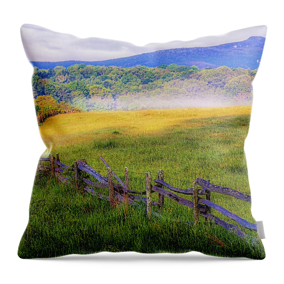 North Carolina Throw Pillow featuring the photograph Light Fog at Sunrise by Dan Carmichael