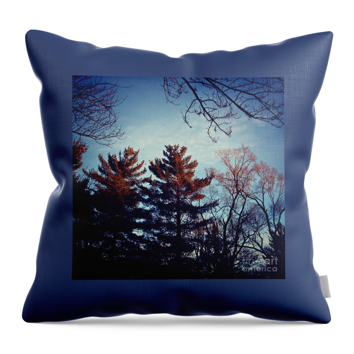 Nature Throw Pillow featuring the photograph Light of Holiness by Frank J Casella