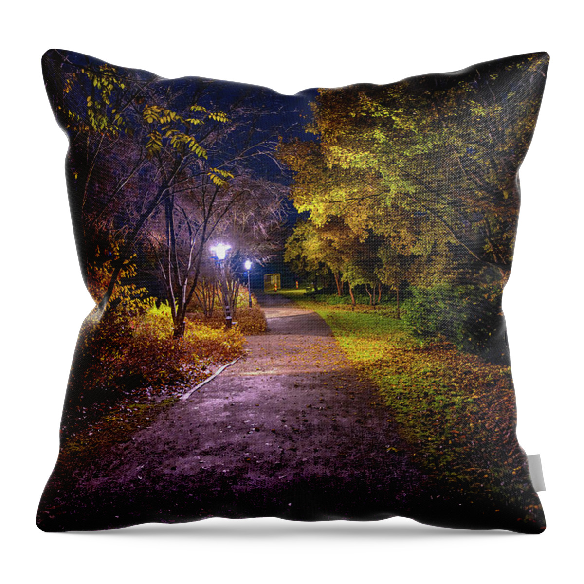 Light On Pathwaylight Throw Pillow featuring the photograph Light on Pathway #k4 by Leif Sohlman