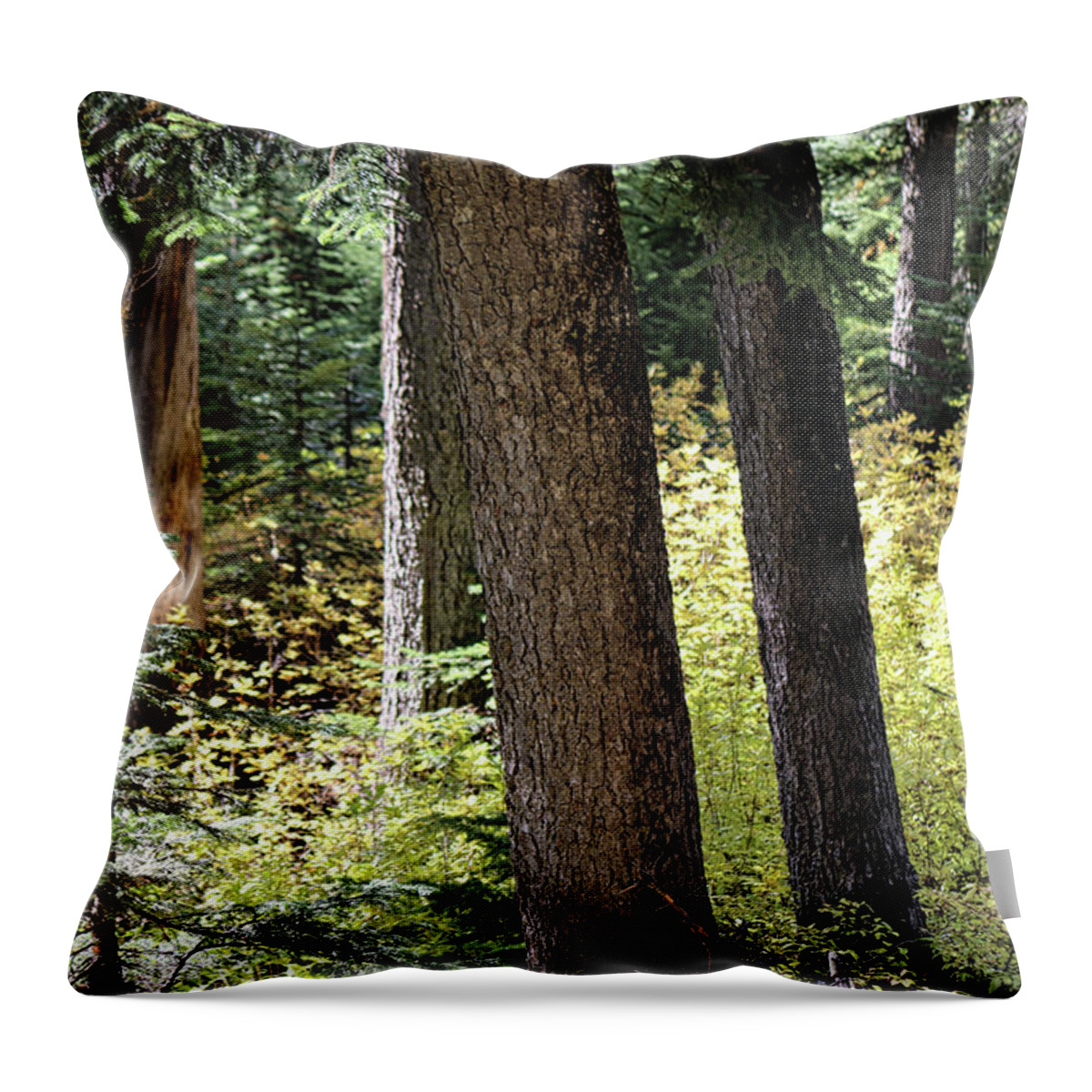 Cascades Throw Pillow featuring the photograph Light shadow Cascades by Cathy Anderson