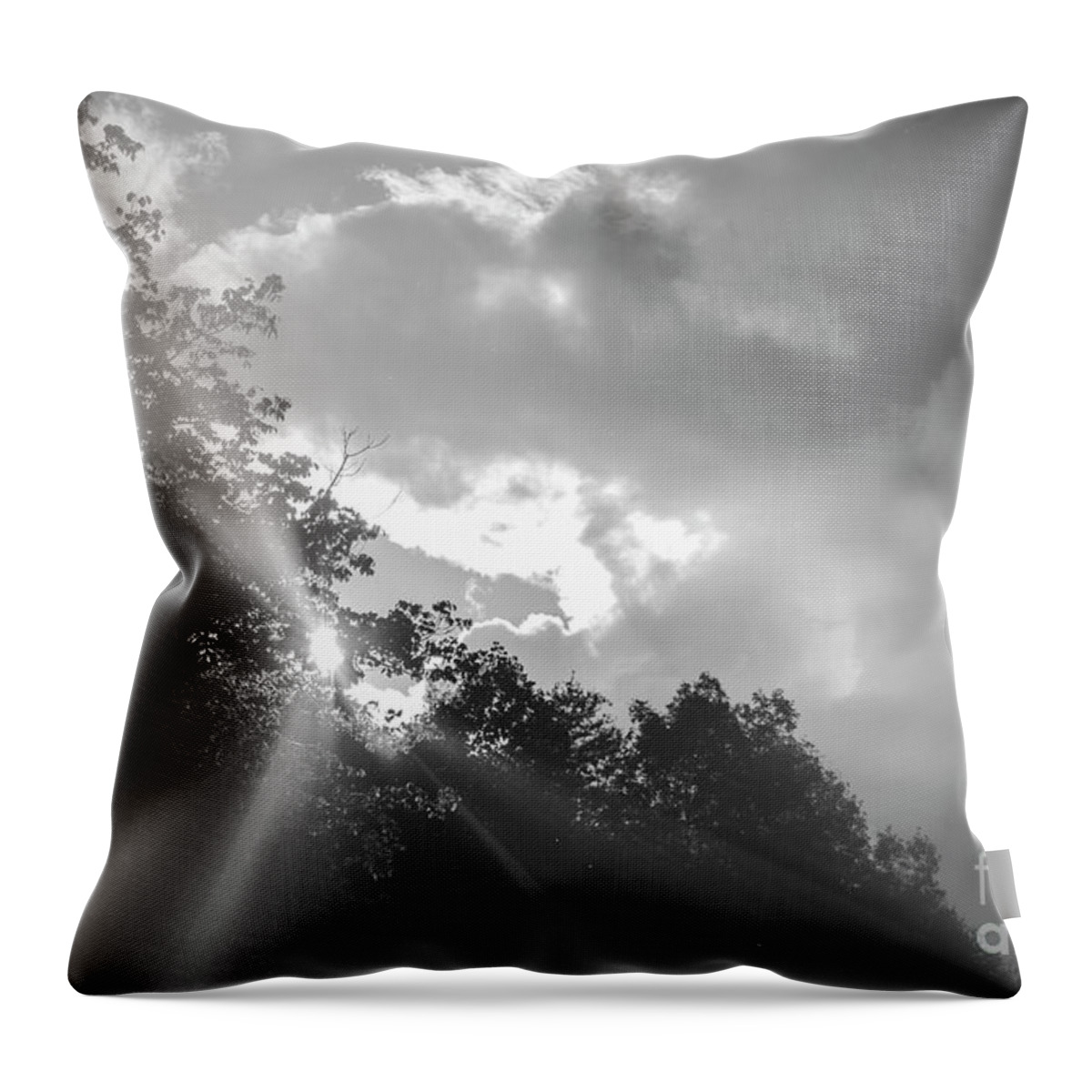 2482 Throw Pillow featuring the photograph Light shines out of darkness by FineArtRoyal Joshua Mimbs