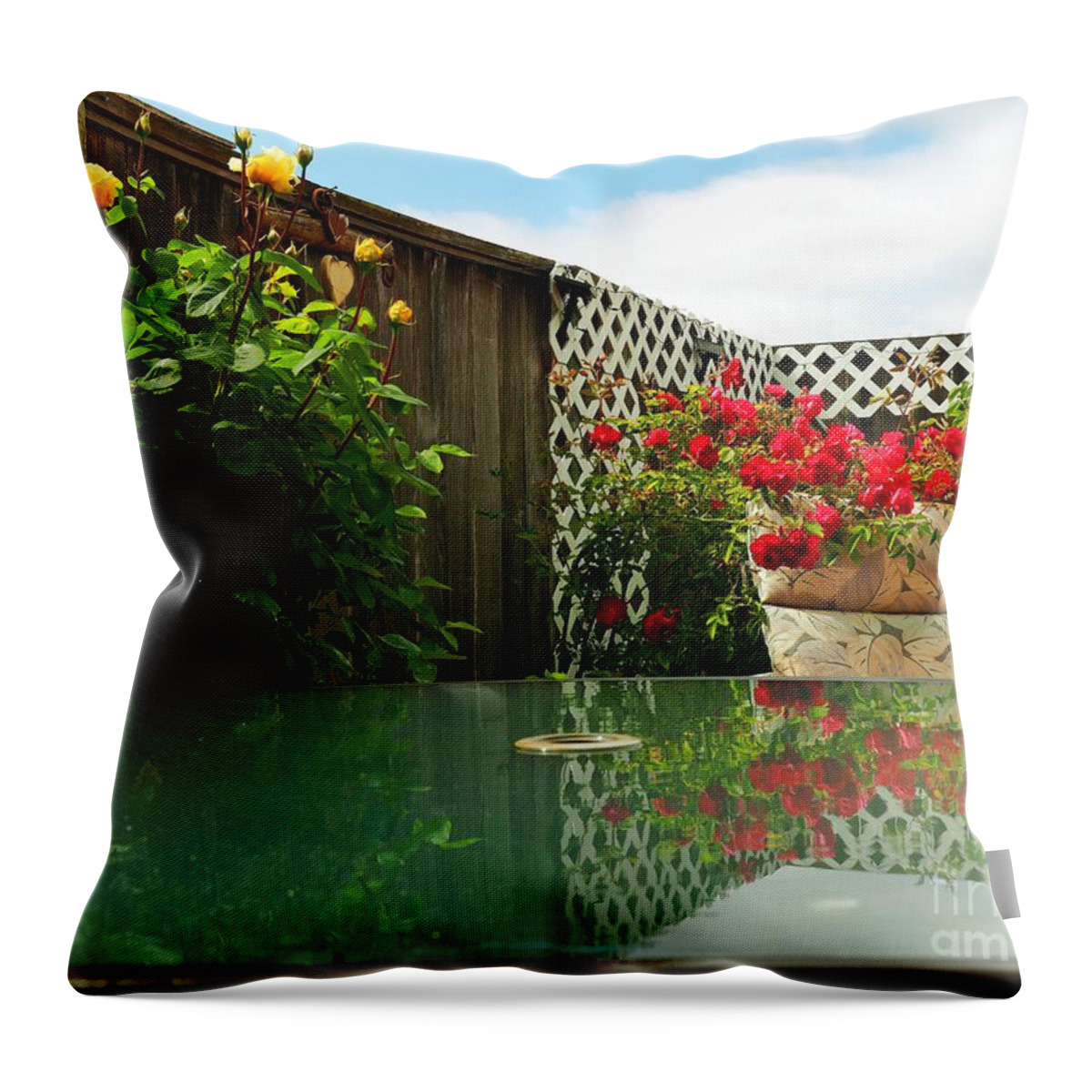 Still Life Throw Pillow featuring the photograph Lighting Exercise by Richard Thomas