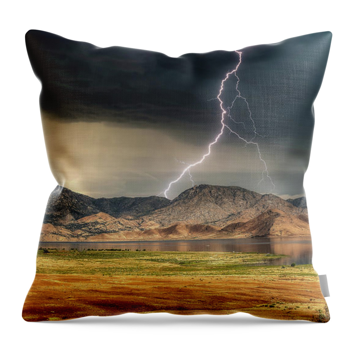  Throw Pillow featuring the photograph Lightning Strike in Colorado by G Lamar Yancy