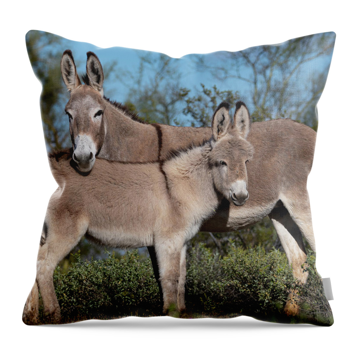 Wild Burros Throw Pillow featuring the photograph Like Mom by Mary Hone
