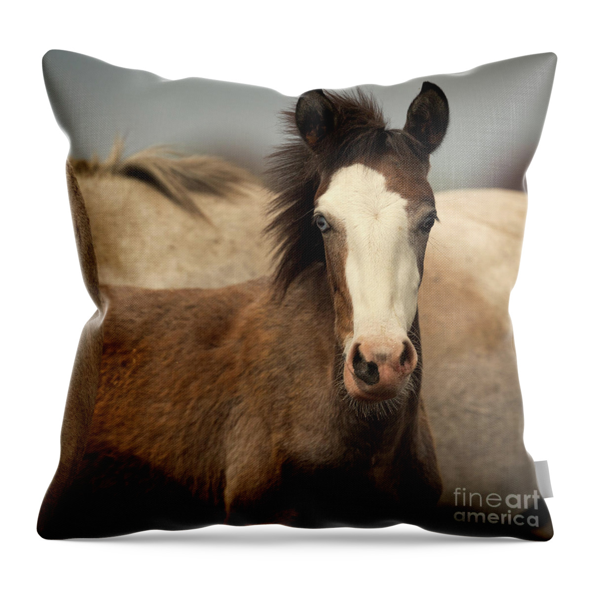 Cute Foal Throw Pillow featuring the photograph Lil Blu by Shannon Hastings