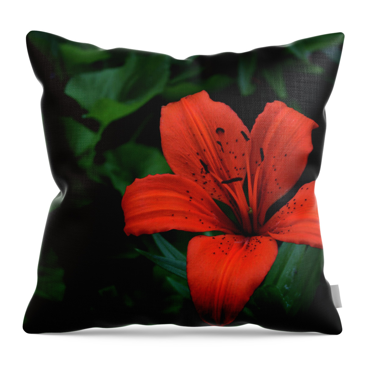 Lily Throw Pillow featuring the photograph Lily 2021 by Cathy Harper