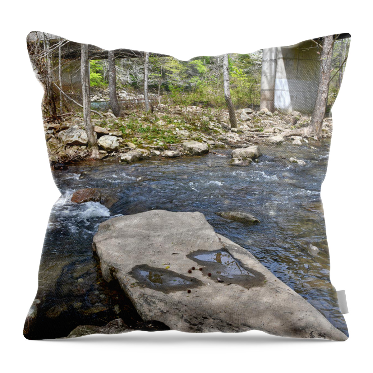 Obed Wild And Scenic River National Park Throw Pillow featuring the photograph Lily Bridge 2 by Phil Perkins