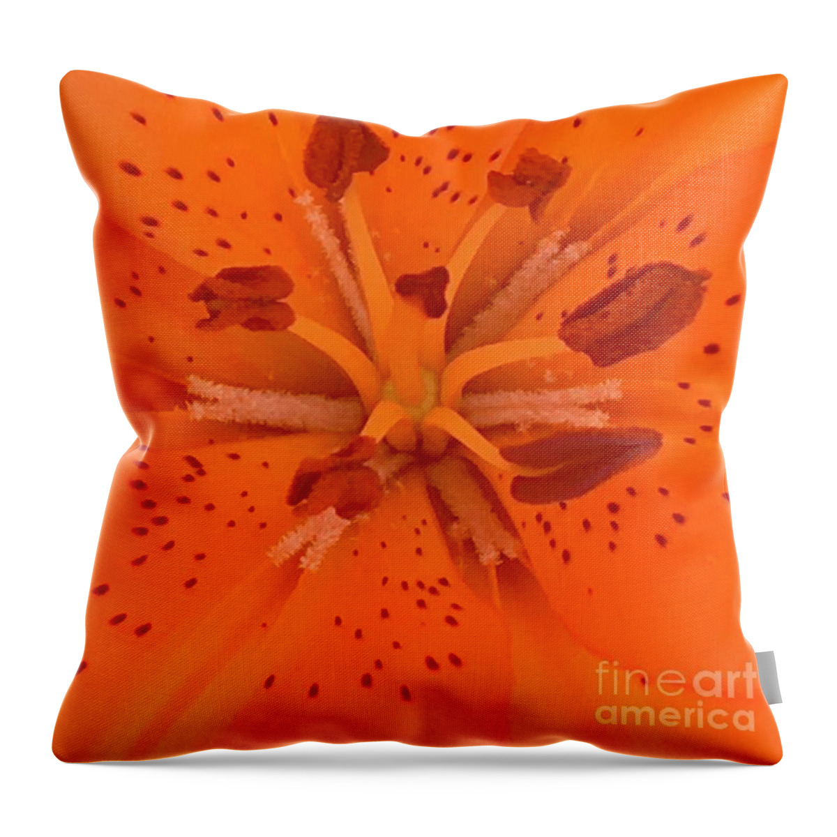 Lily Flower Throw Pillow featuring the photograph Lily Closeup by Carmen Lam