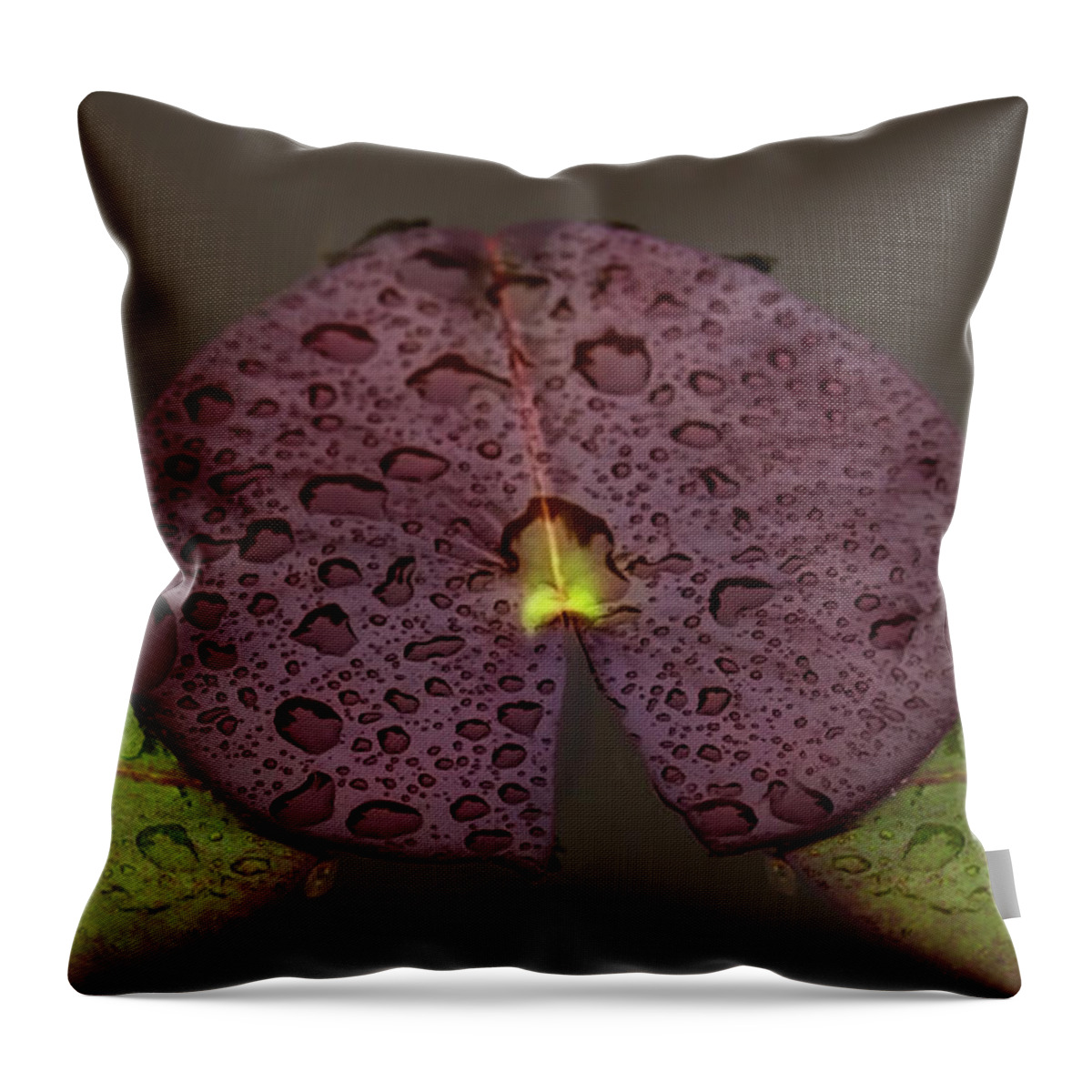Lilly Pads Throw Pillow featuring the photograph Lily Pads by Cheryl Day