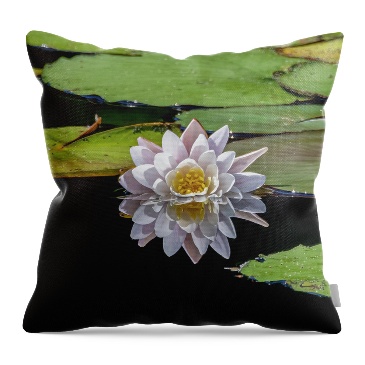 Aquatic Throw Pillow featuring the photograph Lily Reflection by Brian Shoemaker
