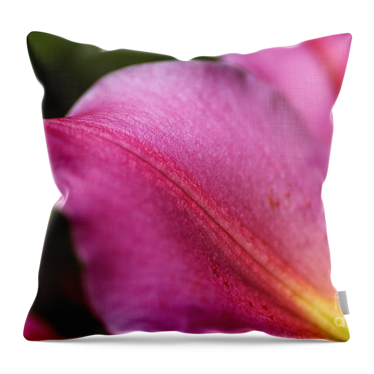Lily Wings Throw Pillow featuring the photograph Lily Wings by Joy Watson