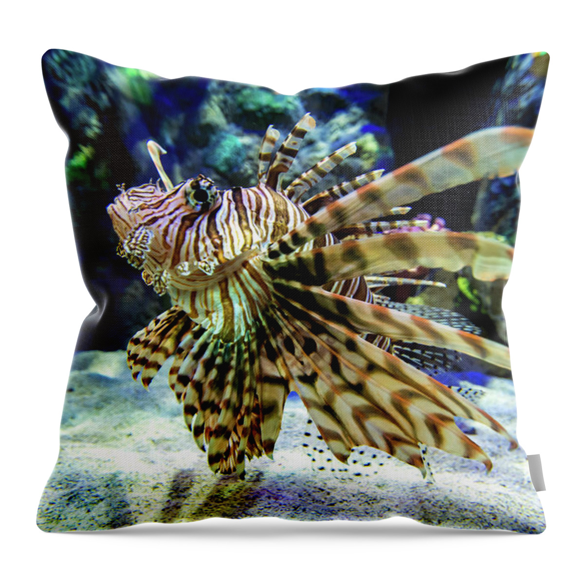 Lion Throw Pillow featuring the photograph Lionfish in the Water by Beachtown Views