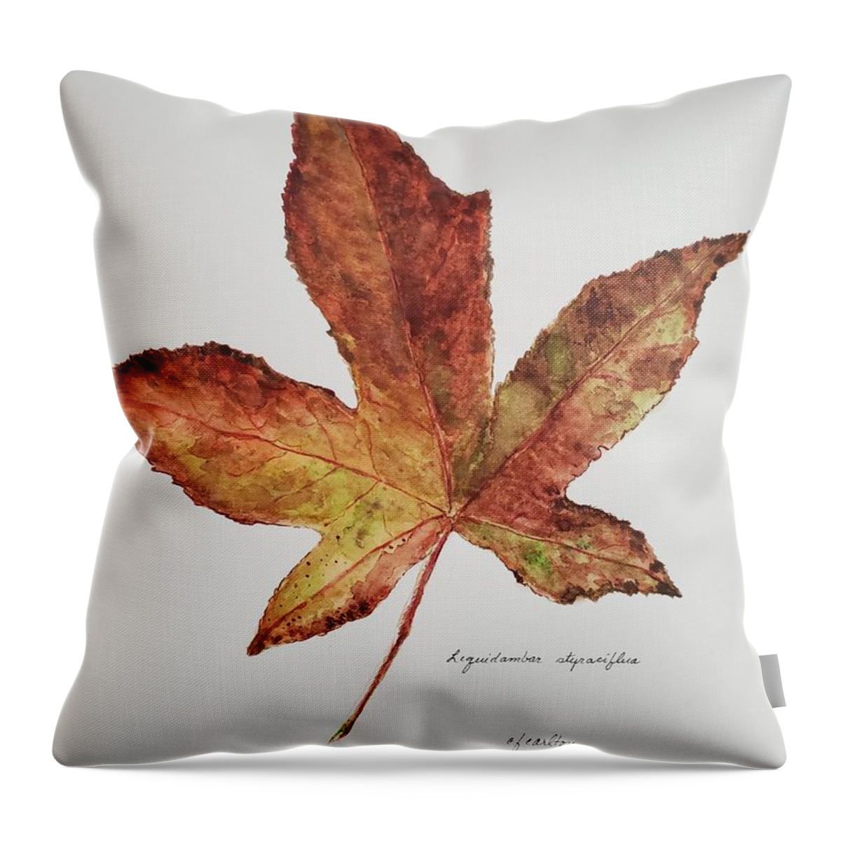 Botanical Throw Pillow featuring the painting Liquidambar 3 - Watercolor by Claudette Carlton