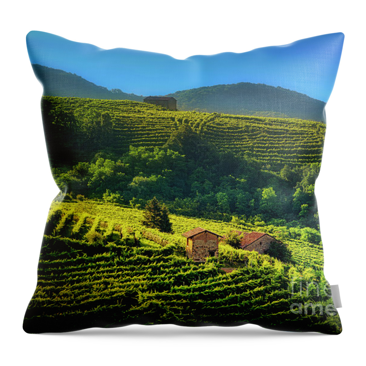 Prosecco Throw Pillow featuring the photograph Little houses in the vineyard by The P