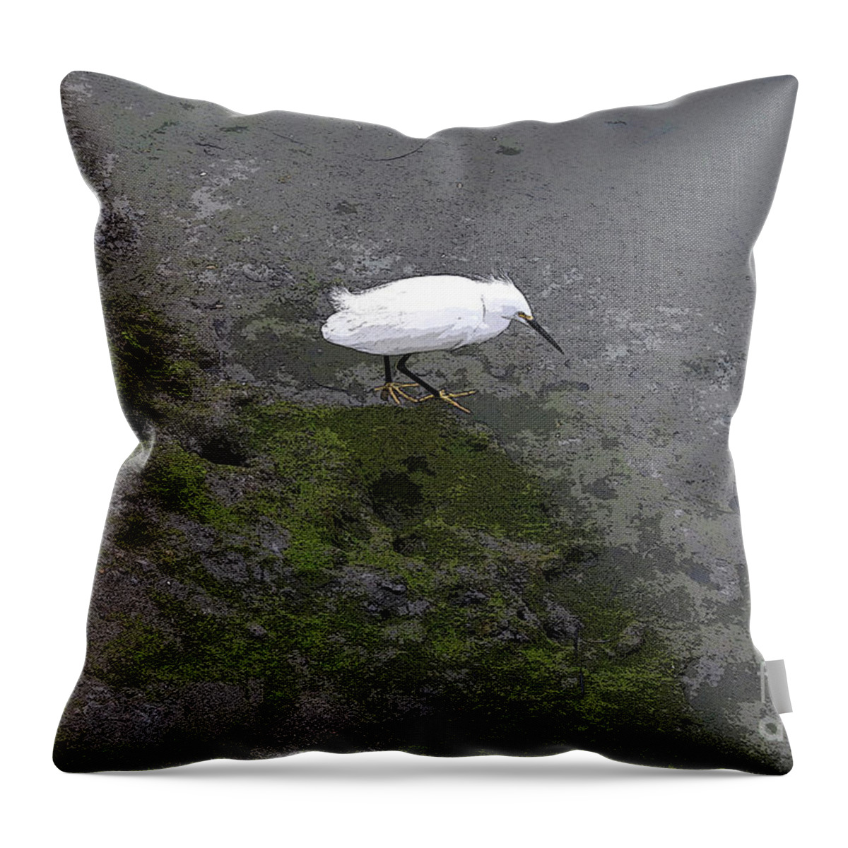 Bird Throw Pillow featuring the photograph Little Egret on the Shore by Katherine Erickson