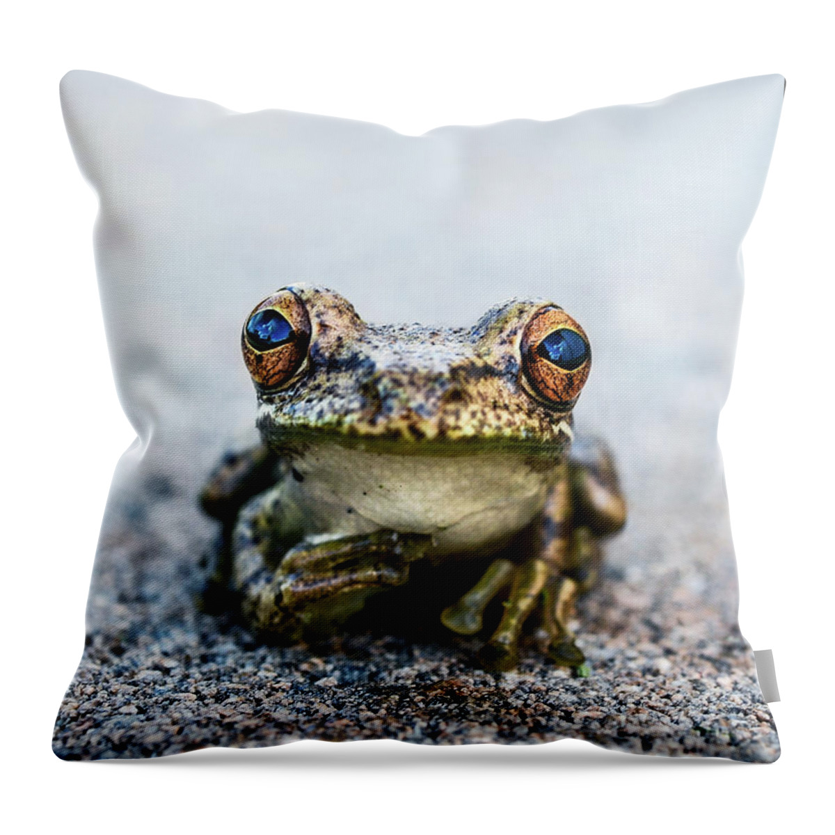 Animal Throw Pillow featuring the photograph Pondering Frog Too by Laura Fasulo
