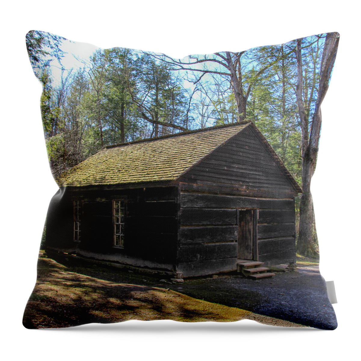 School Throw Pillow featuring the photograph Little Greenbrier School by Richie Parks