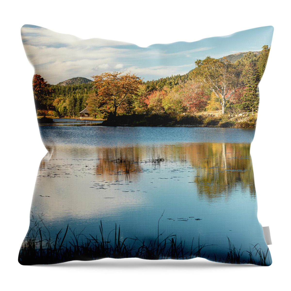Autumn Throw Pillow featuring the photograph Little Long Pond 1 by Craig A Walker