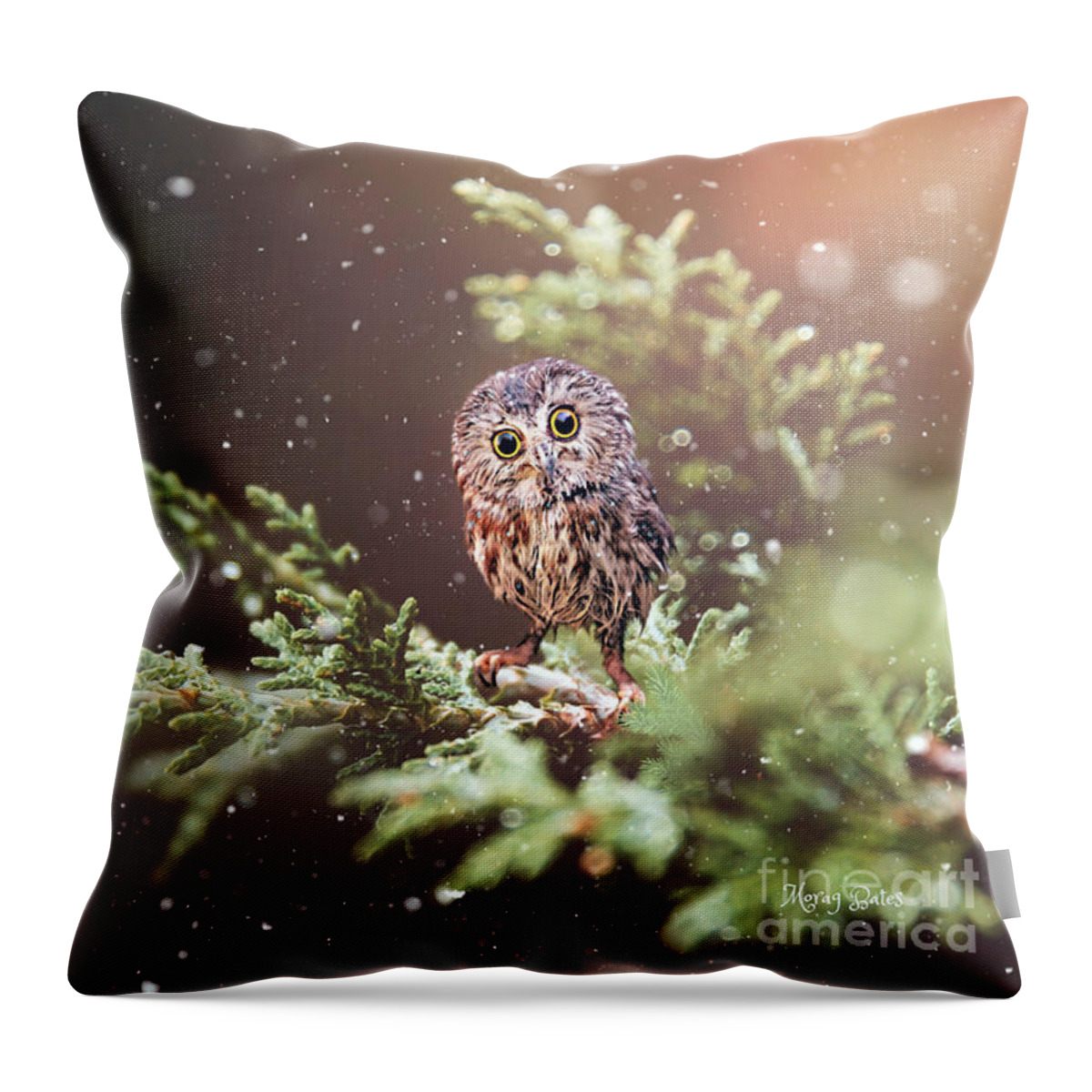 Burrowling Owl Throw Pillow featuring the mixed media Little Owl by Morag Bates
