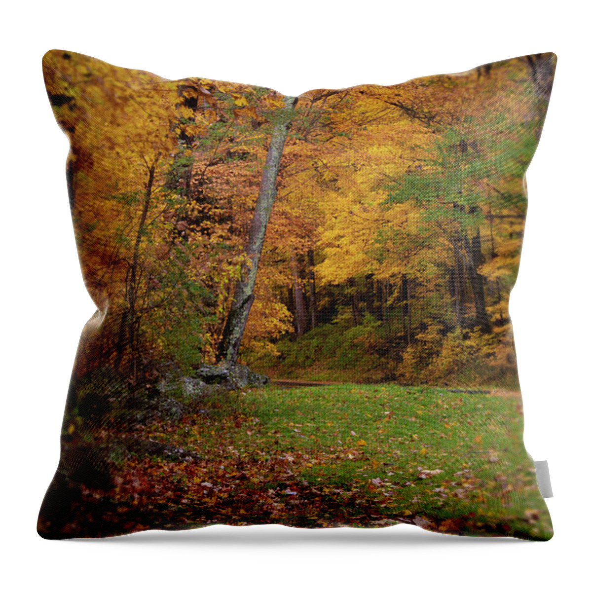 Art Prints Throw Pillow featuring the photograph Little River Road by Nunweiler Photography