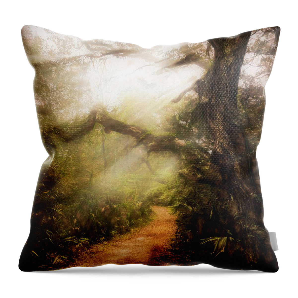 Trail Throw Pillow featuring the photograph Little Talbot Island Sunlit Trail Painting by Debra and Dave Vanderlaan