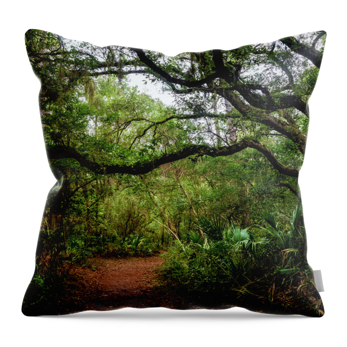 Trail Throw Pillow featuring the photograph Little Talbot Island Winding Trail by Debra and Dave Vanderlaan