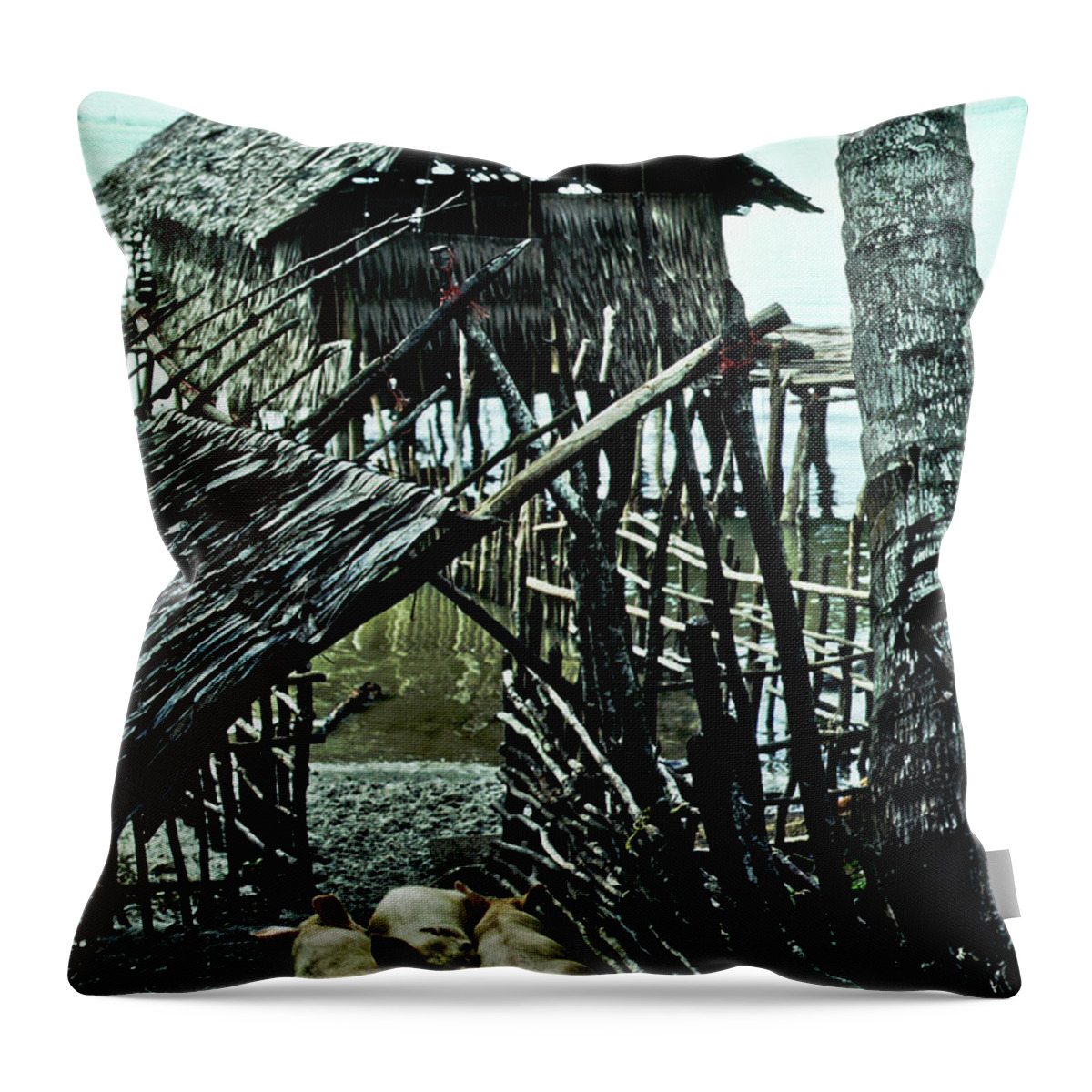 Pigs Livestock Shack Throw Pillow featuring the photograph Livestock Waiting by Neil Pankler
