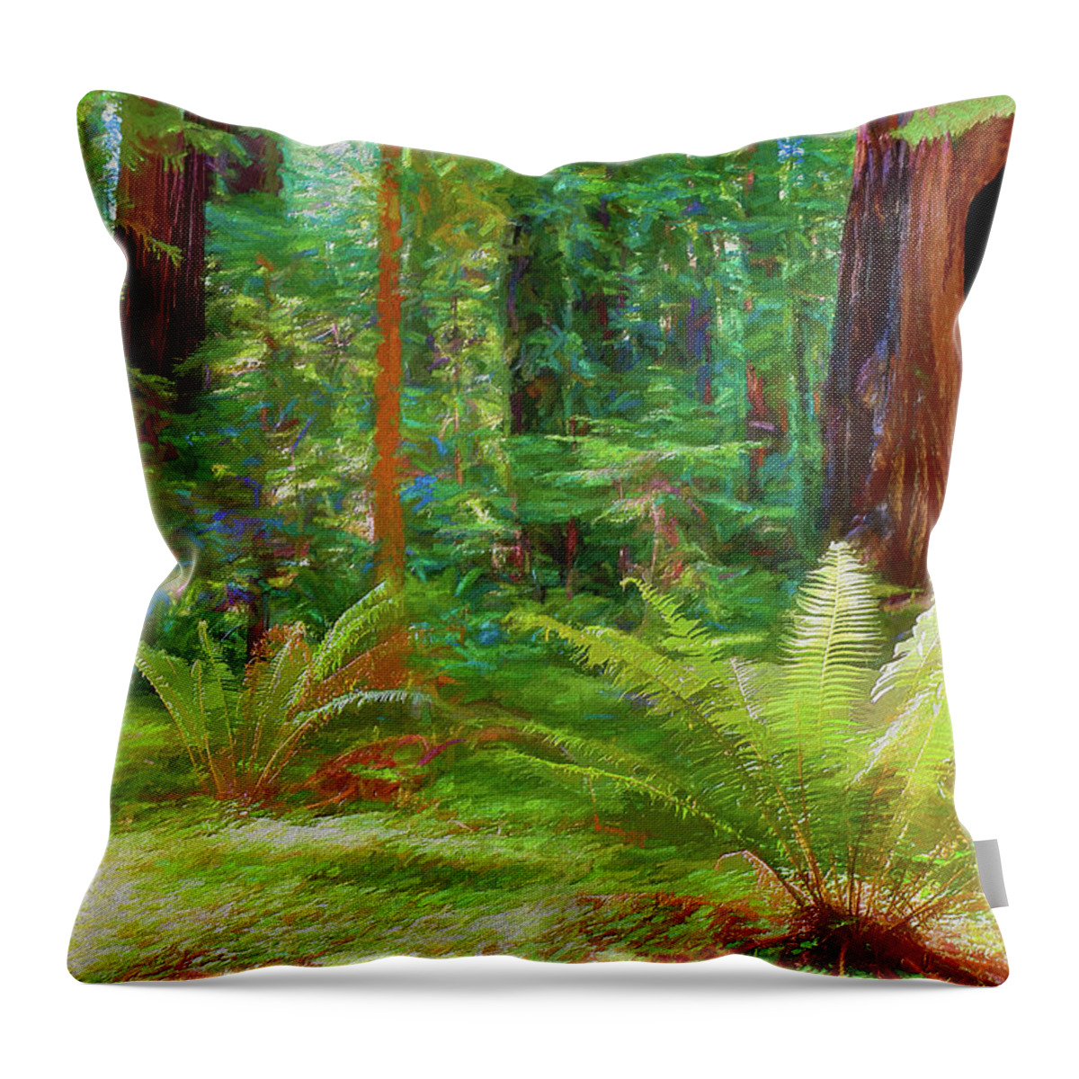 California Throw Pillow featuring the photograph Living for the Light ap by Dan Carmichael