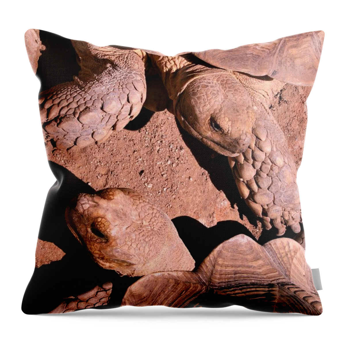 Reptiles Throw Pillow featuring the photograph Living Pods by Mary Mikawoz