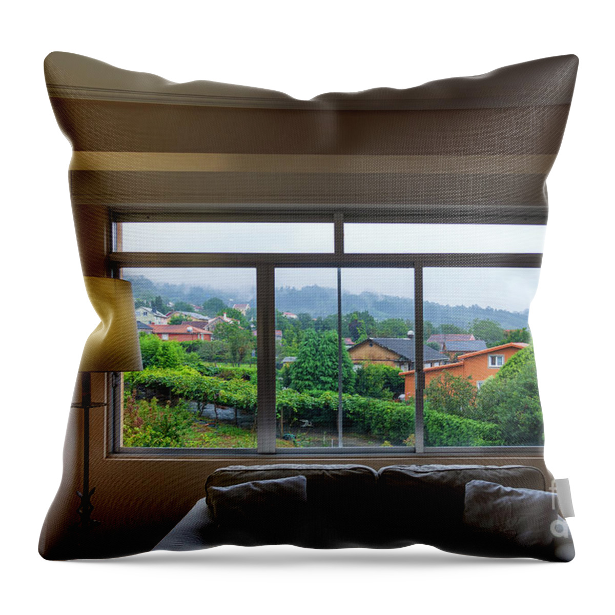 Nature Throw Pillow featuring the photograph Living Room with Vintage Lamp and Landscape in Fene Galicia by Pablo Avanzini