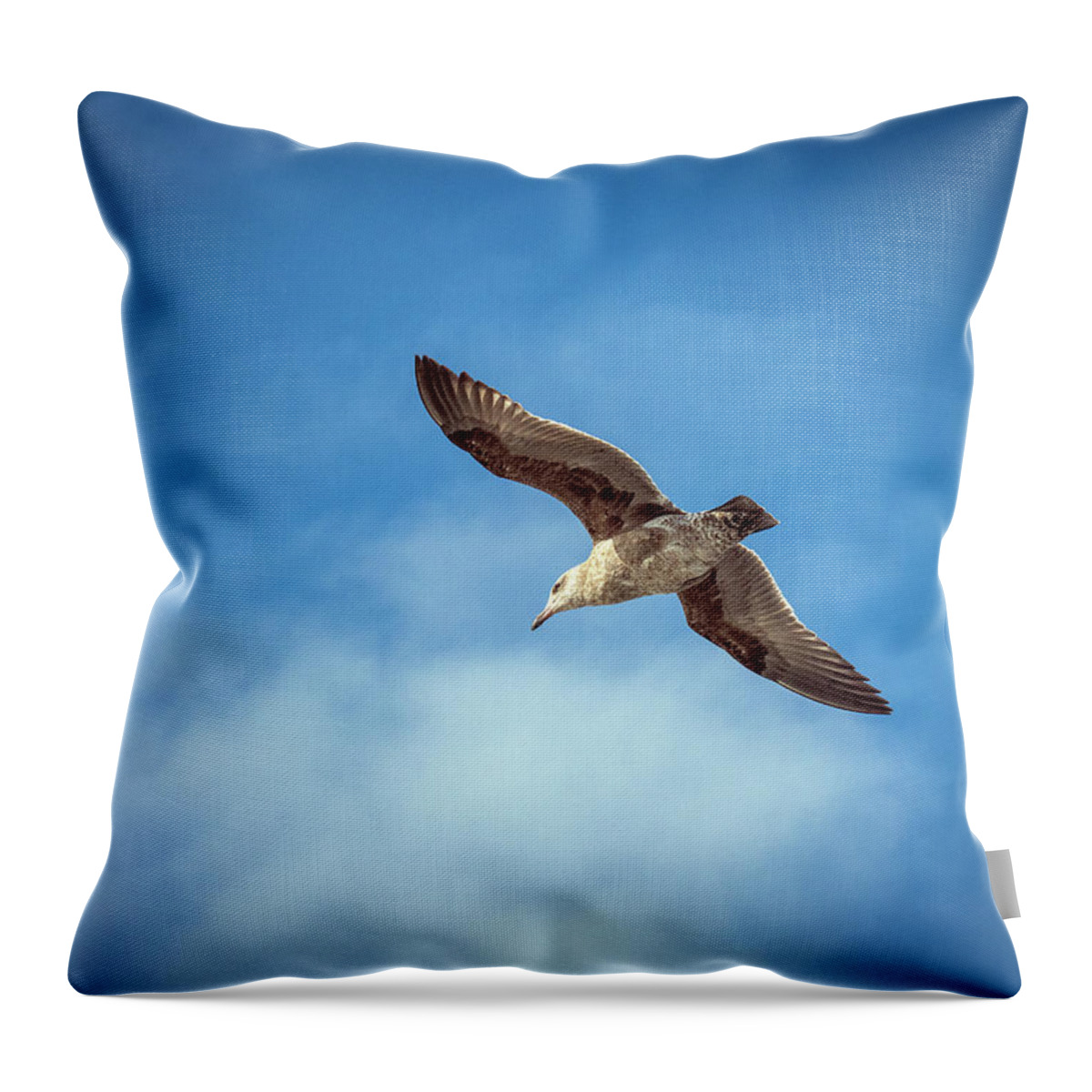 Seagull Throw Pillow featuring the photograph Livingstone I Presume by Joe Schofield