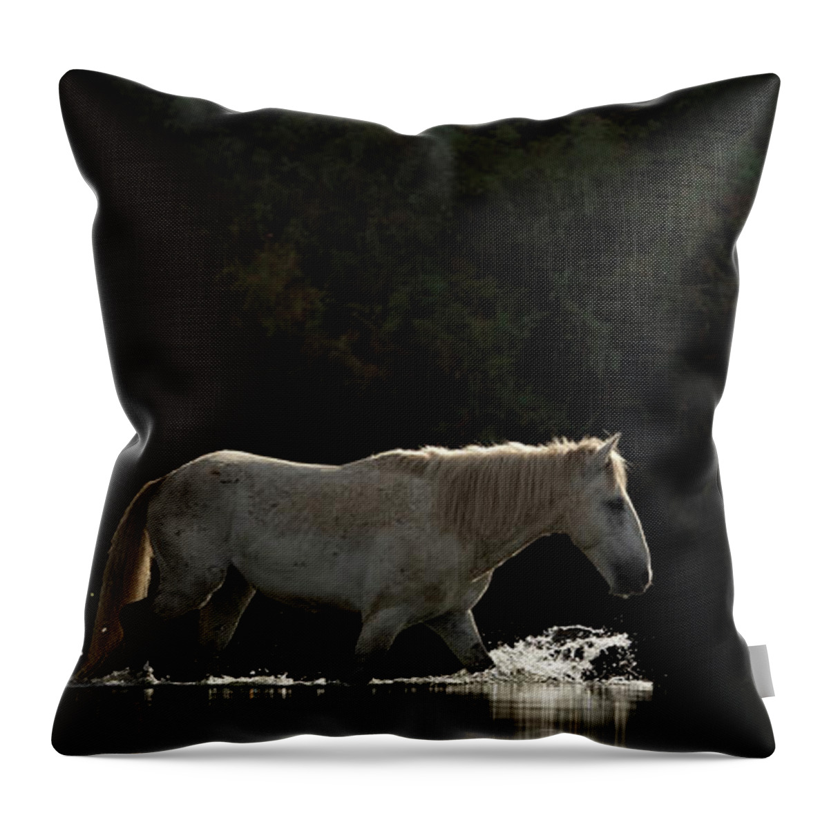 Stallion Throw Pillow featuring the photograph Lone Horse by Shannon Hastings