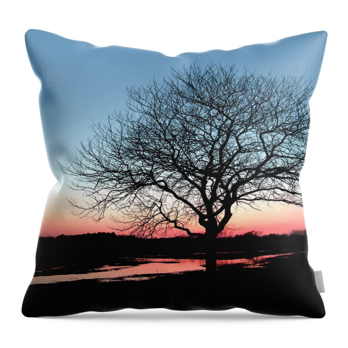 Nature Throw Pillow featuring the photograph Lone Tree at Sunset by Betty Denise