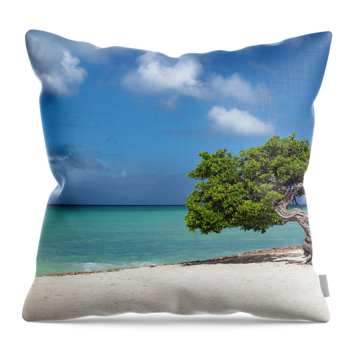 Aruba Throw Pillow featuring the photograph Lone Tree in Aruba by Brian Jannsen