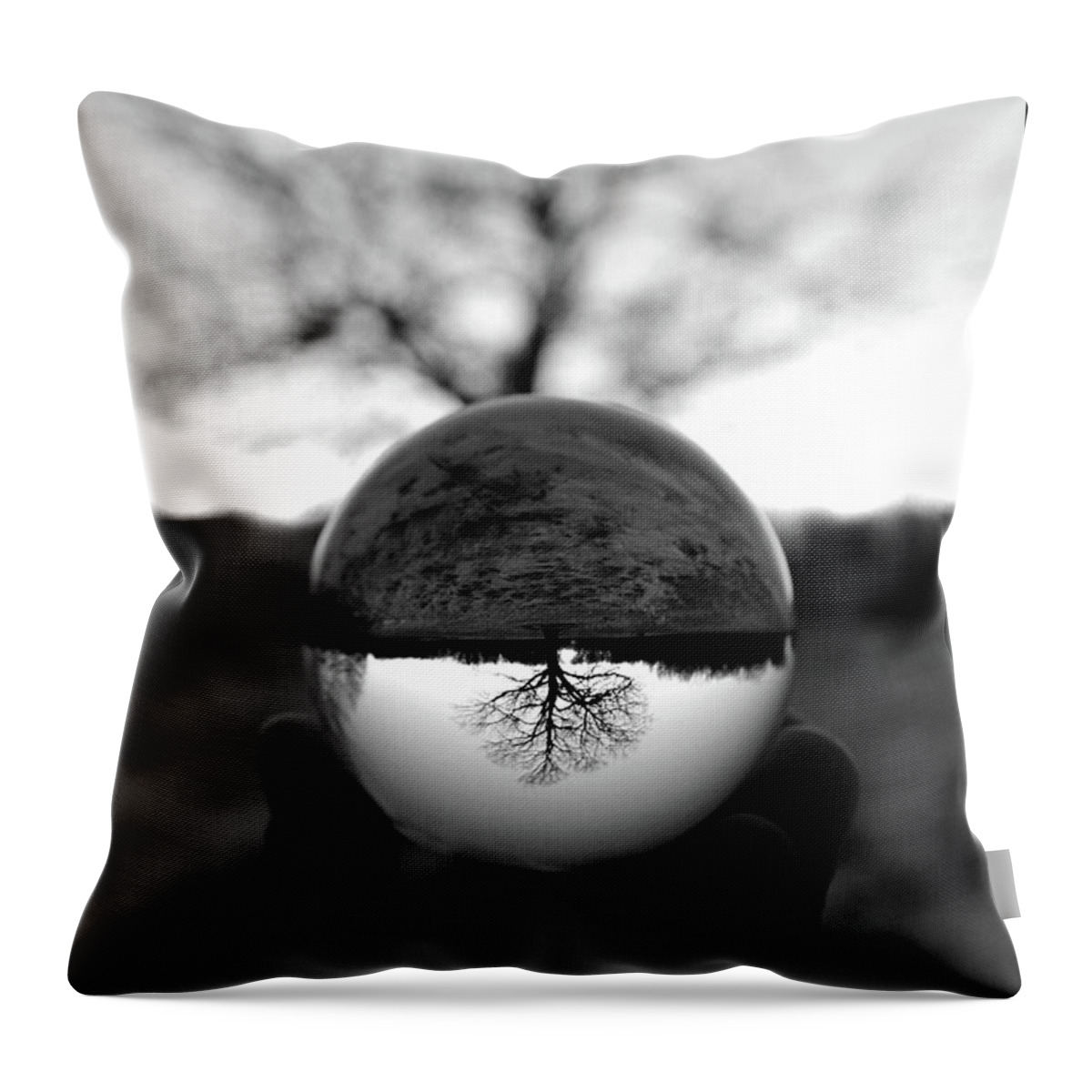 Bare Tree Throw Pillow featuring the photograph Lone Tree Lensball B W by David T Wilkinson