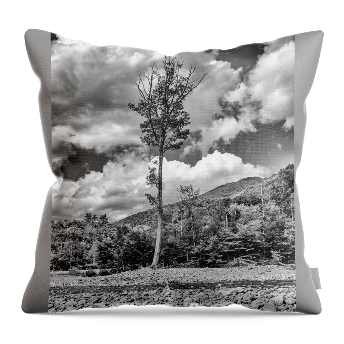 Lone Throw Pillow featuring the photograph Lone Tree by Steven Nelson
