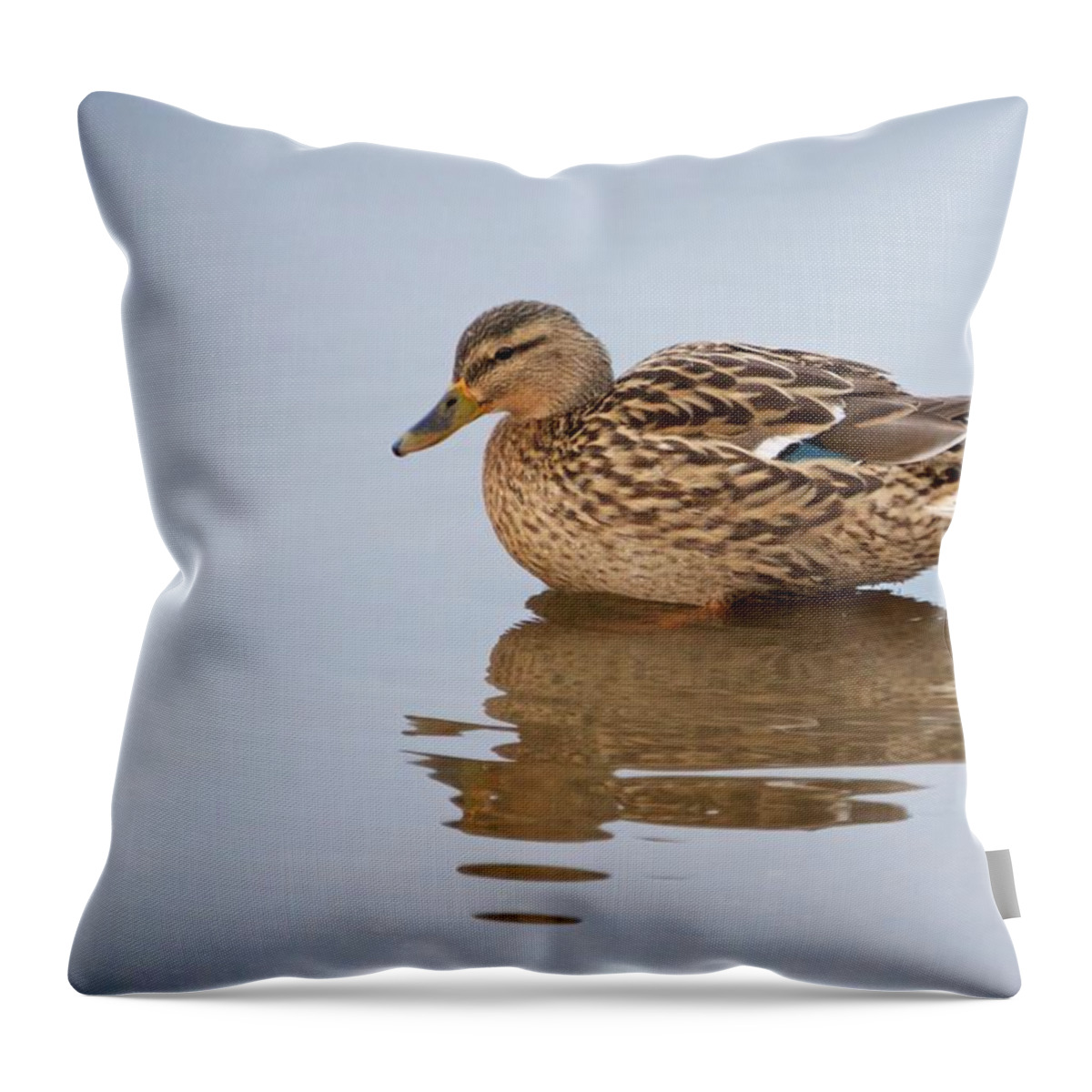 Duck Animal Puddle Lonely Lonliness Sad Thinking Contemplation Reflection Muddy Water Brown Female Bird Looking Throw Pillow featuring the photograph Lonely duck in a puddle by Sean Hannon