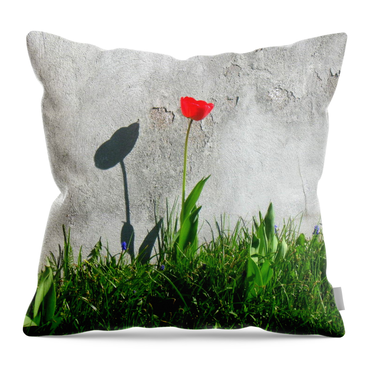 Flower Throw Pillow featuring the photograph Lonely tulip by Pauli Hyvonen