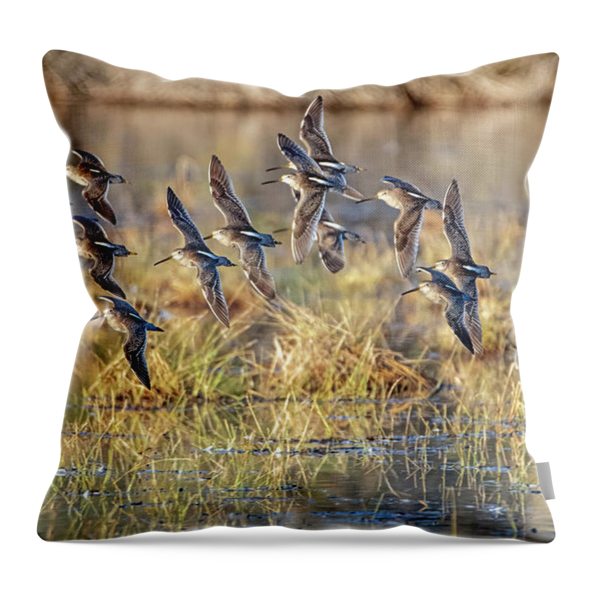 Long-billed Dowitchers Throw Pillow featuring the photograph Long-billed Dowitchers 8220-010322-2 by Tam Ryan