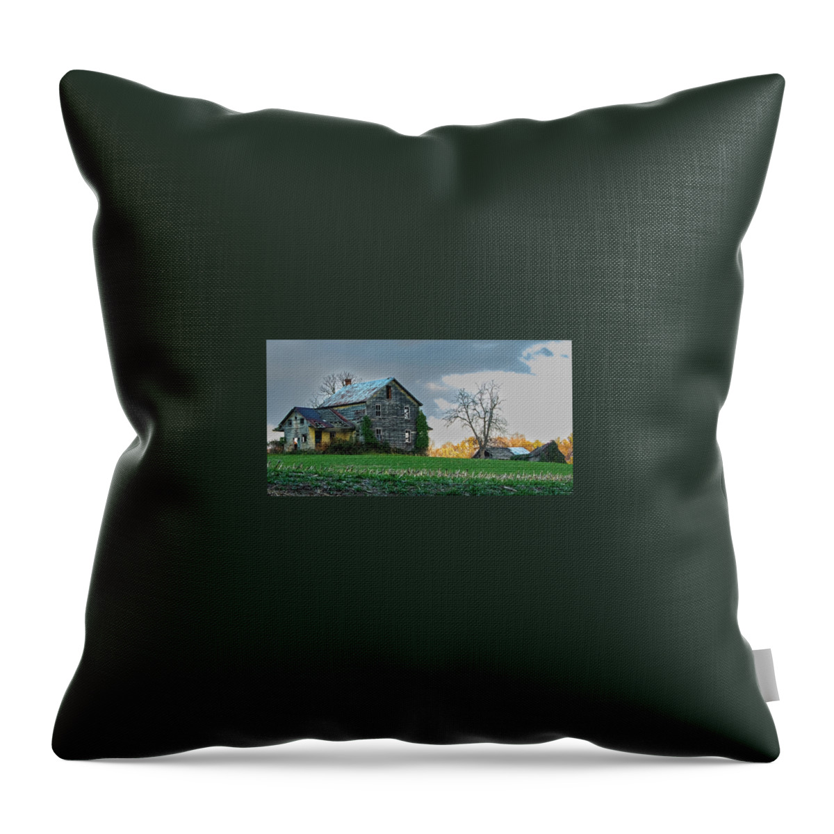 Architecture Throw Pillow featuring the photograph Long Forgotten by Brian Shoemaker
